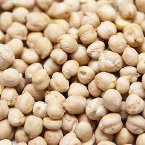 Kabuli Chana / Chickpeas